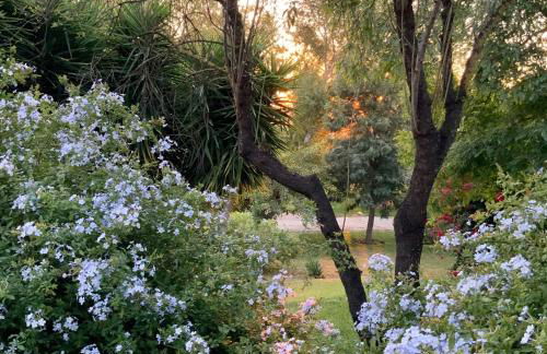 Cortijo Bablou - Foto 55