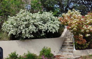 La Pigoussette - Photo 51