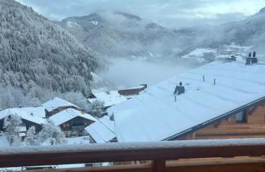 Snow Roc Mountain View - Photo 1