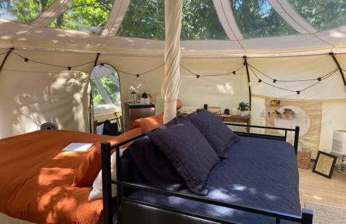 The Hideout - Stargazing Glamping Swim Oasis - Foto 37