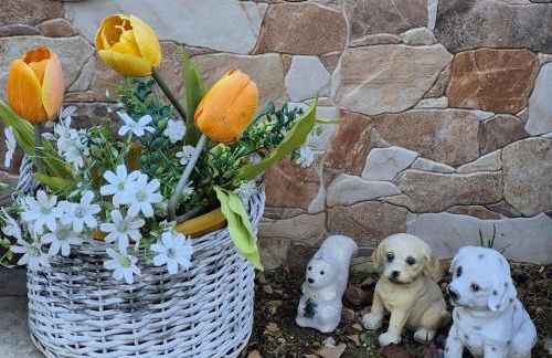 Le Mimose Holiday House di Como - Grandate - Foto 68