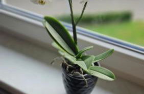 Loftwohnung in ruhiger Gegend - Foto 13