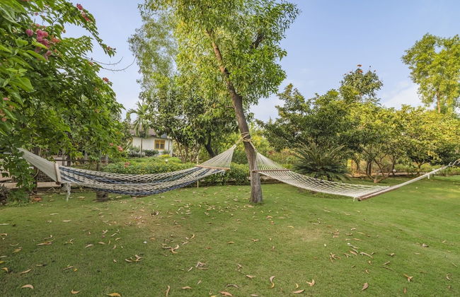 GuestHouser 3 BHK Cottage c364 - Photo 12