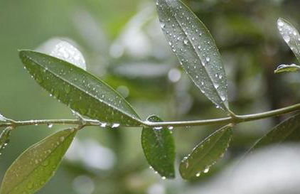 B&B Borgo San Antonio - Foto 59