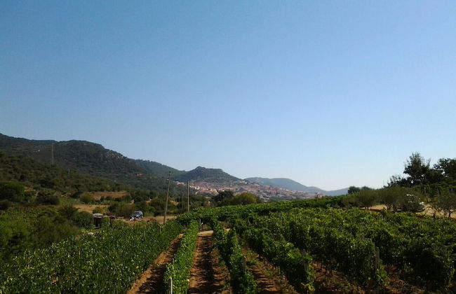 Agriturismo B&B Domo De Resteblas - Foto 45