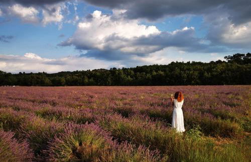 Le Portail d'Airain - Foto 50