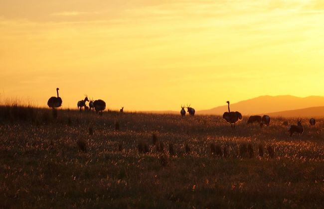 Kwetu Guest Farm - Photo 50