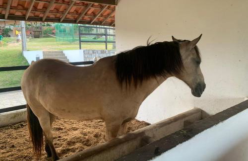 Monte Castelo Gravatá - Foto 24