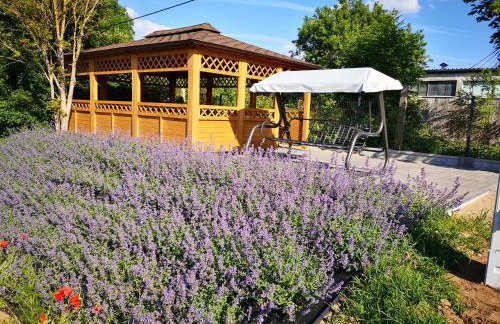 Apartamenty, Zielone Wzgórze Wiktora w Mikołajkach - Foto 26