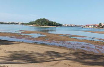 chalet Le Ticaco Soustons plage avec WiFi satellite - Foto 12