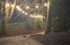 42 pine lodge & sea views - Foto 33