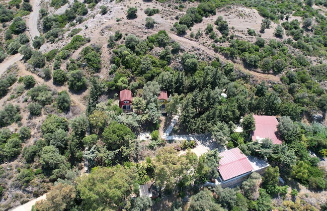 Sole Foca ( Ages 12+ ) - Foto 58