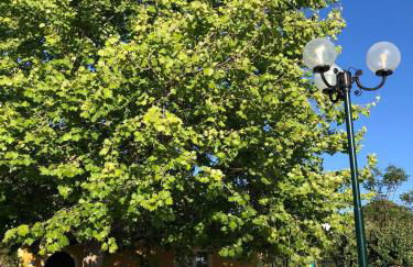 Sandy Beach Villas and Apartments - Photo 8