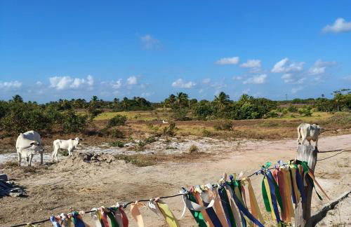 Casa Aratu Guaiú Barra de Mamanguape - Photo 27