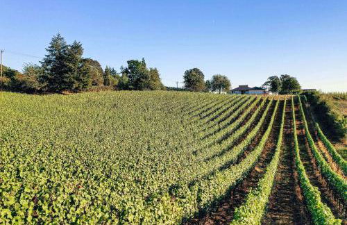 King's Queen - Foto 44