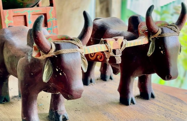 Rincón De Gaetano - Photo 25