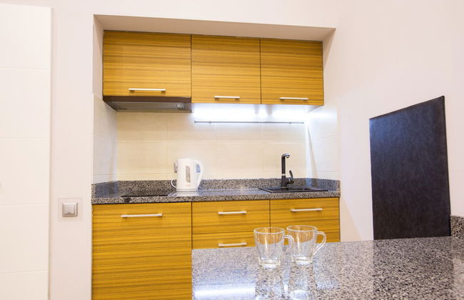 Pushkinskaya Apartments - Foto 24