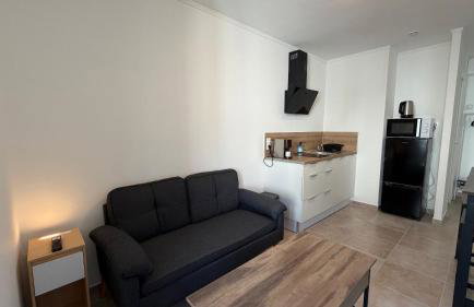 logis des Adhemar ,apparts cosy centre ville ,sejour-tricastin - Foto 11