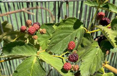 Serenity home Salamina - Foto 14