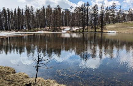 Appartement 3 pieces 6 personnes, 2 chambres, wifi fibre gratuit, piscine l'été et au pied des pistes l'hiver - Foto 24