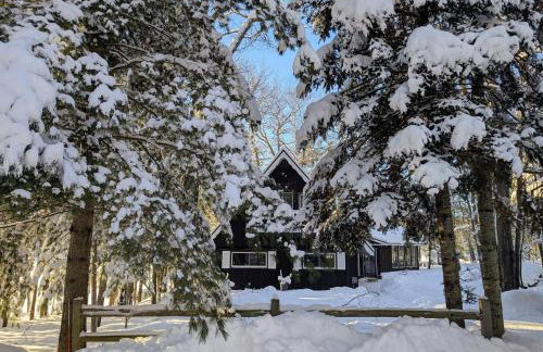 Loon Landing in Lake Tomahawk WI - Photo 9
