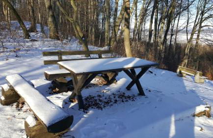 Ferienwohnung Bleicherode - Foto 20