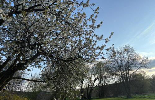 Casa Cittadella Ferienwohnung Mimi - Foto 13