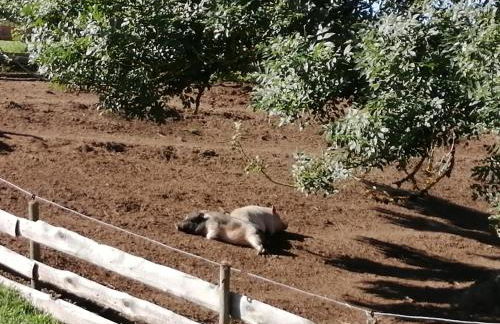 Urlaub an der Grenze - Foto 33