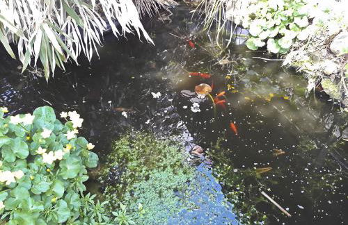 Haus zur Bienenweide - Foto 11