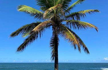 Casa super agradável em Busca Vida a 100m da praia! - Foto 29