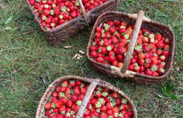 Le chant de la rivière en Berry - Foto 32