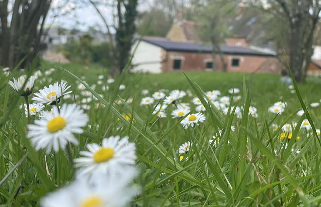 Beautiful 2bed Cottage in Knowle St Giles nr Chard - Foto 11
