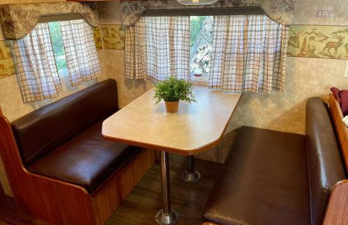 Vintage RV Creekside Nature Retreat near Ojai next to Swim Holes Hike - Foto 10