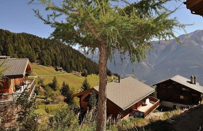 Sternschnuppe EG - Foto 11