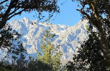 Las Casucas de Remoña - Foto 52