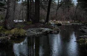 Secluded Forest Escape with Game Room, Hot Tub and Fire Pit - Foto 23