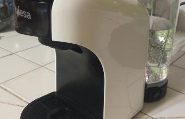 la gerbera - Foto 16