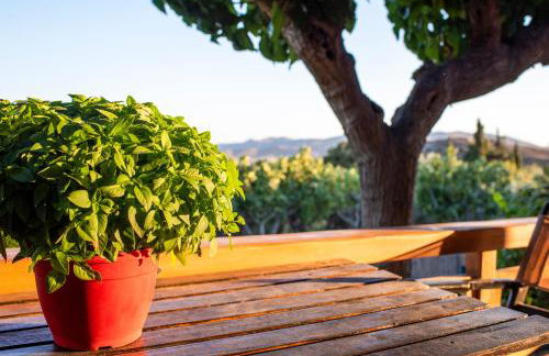 Ktima Asteria - Foto 10