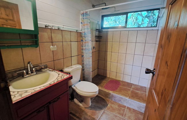 Cabinas Costa Tropicana - Foto 32