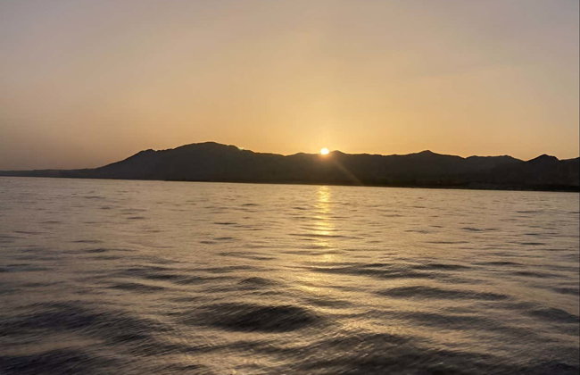 Avistamiento de delfines en la costa de Marbella - Foto 6