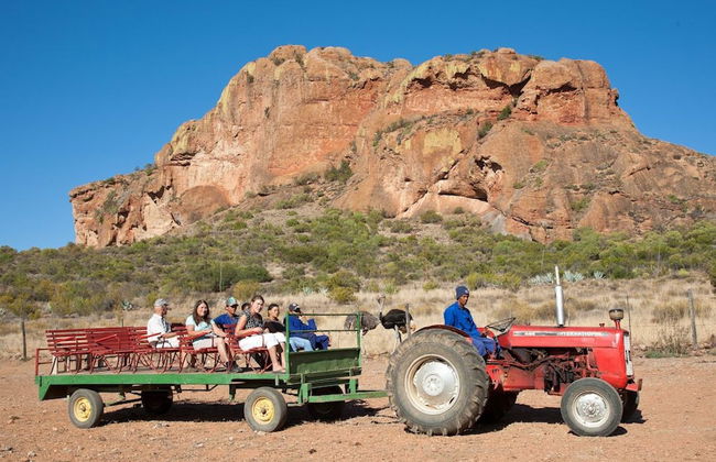 Red Stone Hills - Foto 40