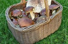 Wierzchy 34 - Photo 42