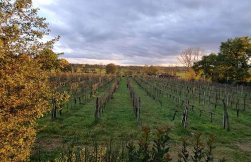 Fornace del Conte - Foto 42