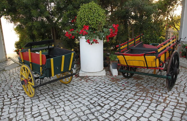 Muthu Balaia Sol - Photo 71