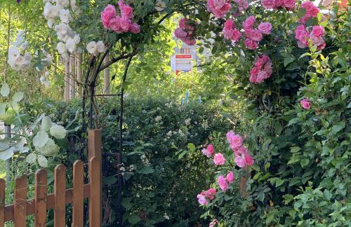 H N H Ferienwohnung - Foto 25