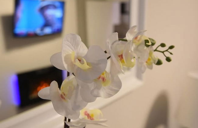 First - Slateford House Apartment - Foto 34