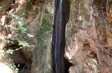 Filoxenia Olive Garden luxury villas and suites - Foto 39