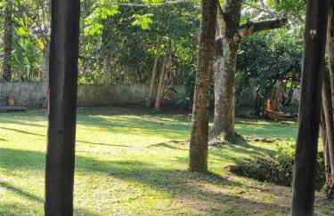 Sítio Refúgio do Lobo - Foto 30