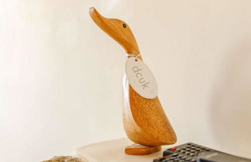 1 Bed in Penzance oc-ducks - Foto 8