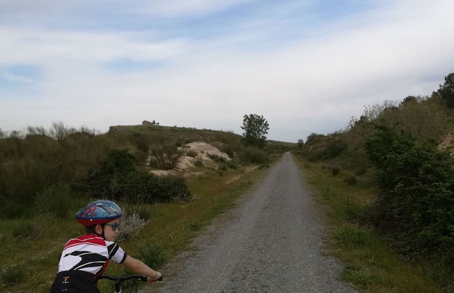 Casa La Plaza - Photo 18